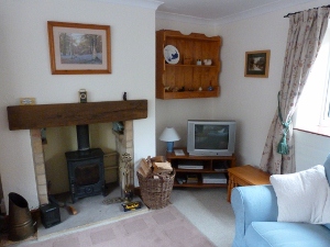 Solid fuel stove in living room